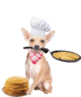 Gif animé Chandeleur crêpes chien